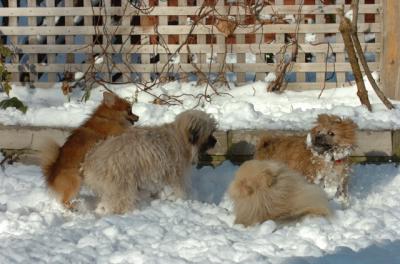 Dec9_05_0933.JPG