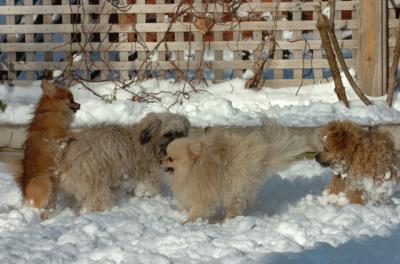 Dec9_05_0934.JPG