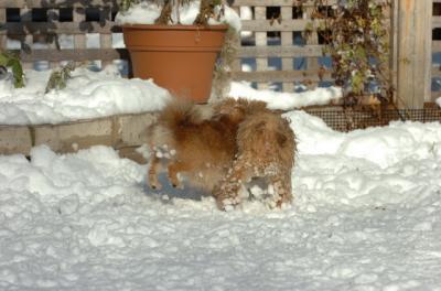 Dec9_05_0935.JPG