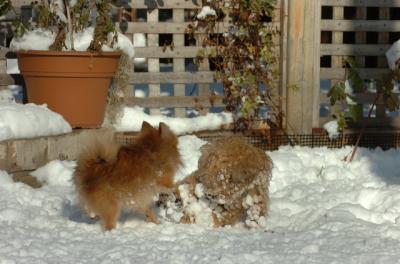 Dec9_05_0936.JPG