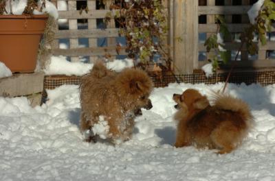 Dec9_05_0937.JPG