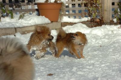 Dec9_05_0939.JPG
