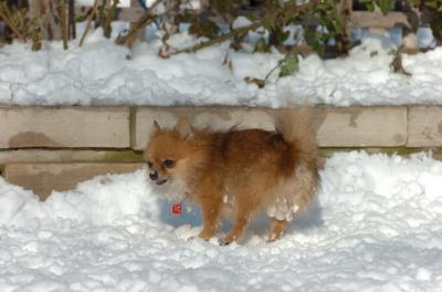 Dec9_05_0940.JPG