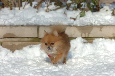 Dec9_05_0941.JPG