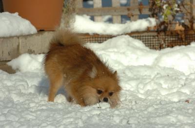 Dec9_05_0942.JPG
