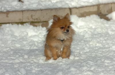 Dec9_05_0943.JPG