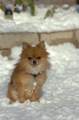 Dec9_05_0944.JPG