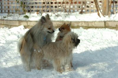 Dec9_05_0950.JPG