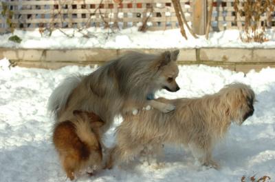 Dec9_05_0954.JPG