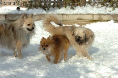 Dec9_05_0956.JPG