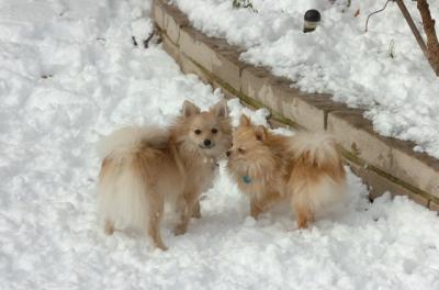 Dec9_05_0959.JPG
