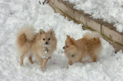Dec9_05_0960.JPG