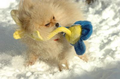 Dec9_05_0606.JPG