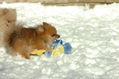 Dec9_05_0625.JPG