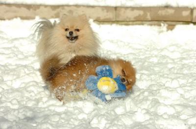 Dec9_05_0626.JPG