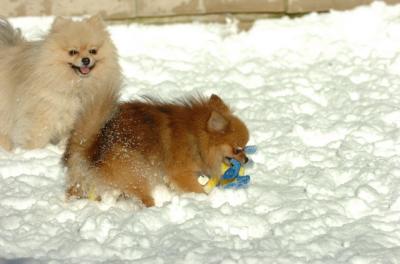 Dec9_05_0627.JPG