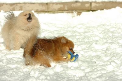 Dec9_05_0629.JPG