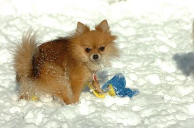 Dec9_05_0630.JPG