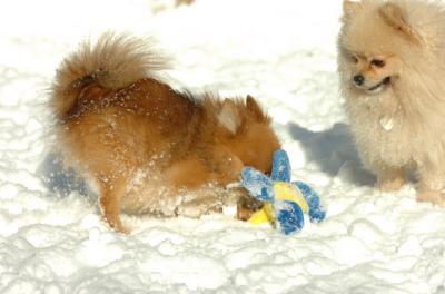 Dec9_05_0632.JPG