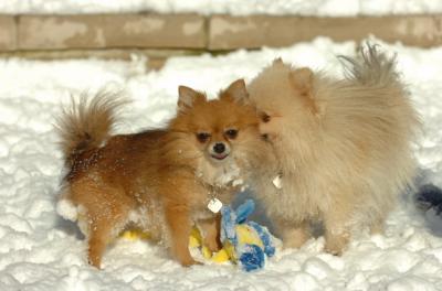 Dec9_05_0633.JPG