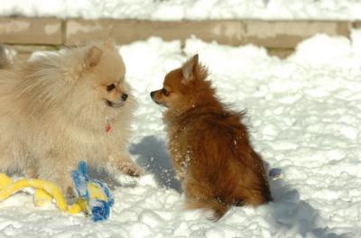Dec9_05_0635.JPG