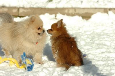Dec9_05_0636.JPG