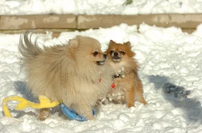 Dec9_05_0637.JPG