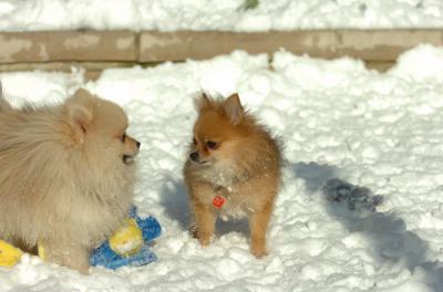 Dec9_05_0638.JPG