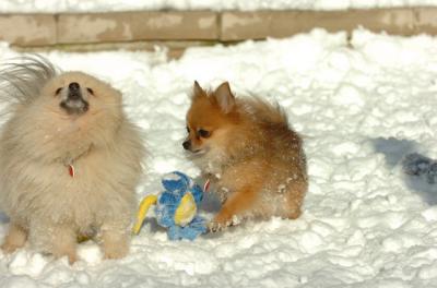 Dec9_05_0639.JPG