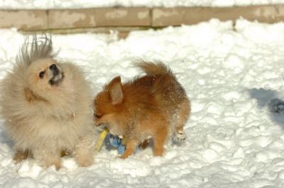 Dec9_05_0640.JPG
