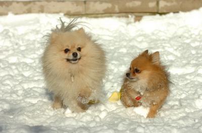 Dec9_05_0645.JPG