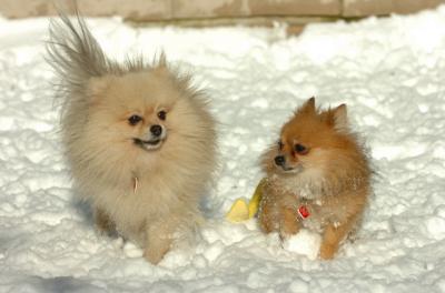 Dec9_05_0646.JPG