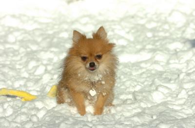 Dec9_05_0648.JPG