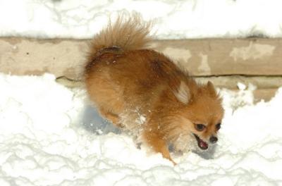 Dec9_05_0649.JPG