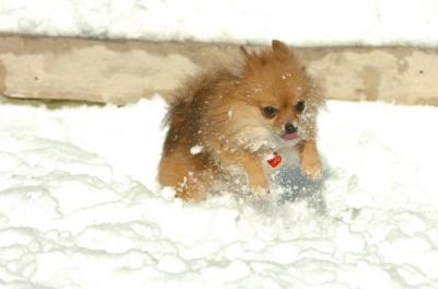 Dec9_05_0650.JPG