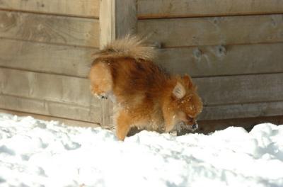 Dec9_05_0652.JPG