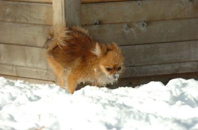 Dec9_05_0653.JPG