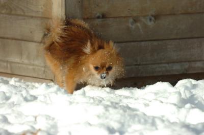 Dec9_05_0654.JPG