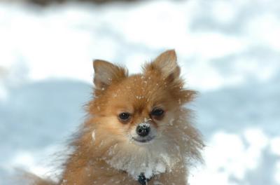 Dec9_05_0655.JPG