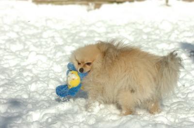 Dec9_05_0657.JPG