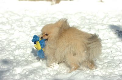 Dec9_05_0658.JPG