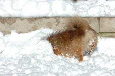 Dec9_05_0659.JPG