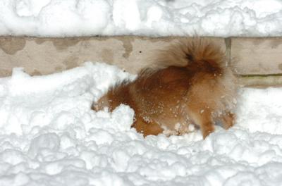 Dec9_05_0661.JPG