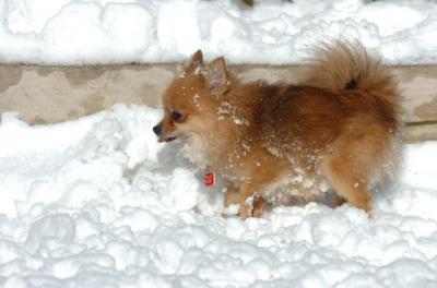 Dec9_05_0662.JPG