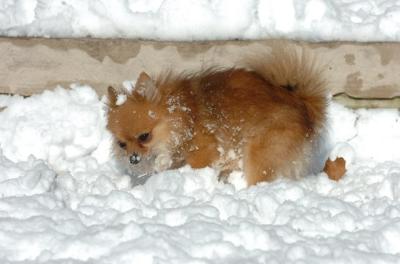 Dec9_05_0664.JPG