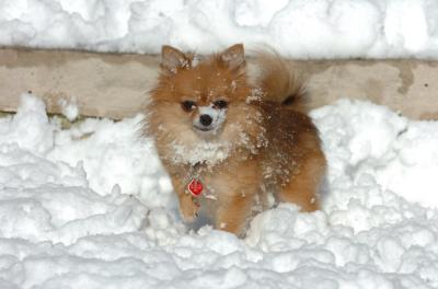 Dec9_05_0666.JPG