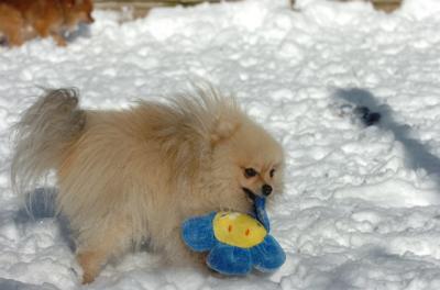 Dec9_05_0668.JPG