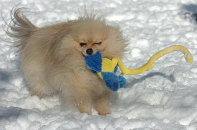 Dec9_05_0669.JPG