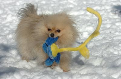 Dec9_05_0670.JPG