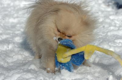 Dec9_05_0672.JPG